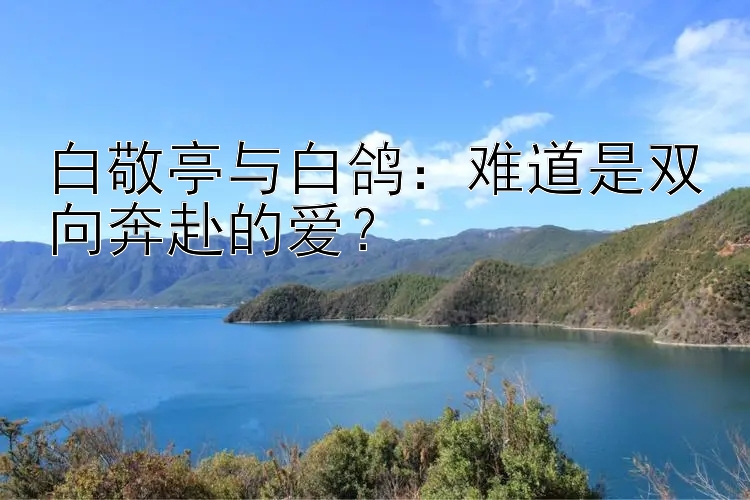 白敬亭与白鸽：难道是双向奔赴的爱？