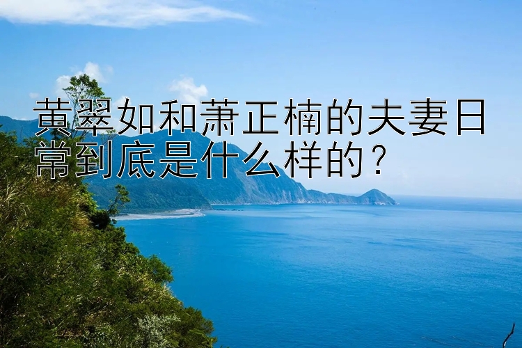 黄翠如和萧正楠的夫妻日常到底是什么样的？