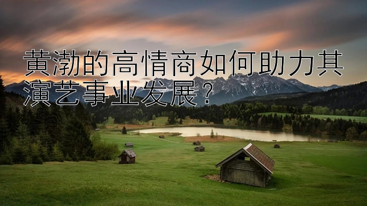 黄渤的高情商如何助力其演艺事业发展？