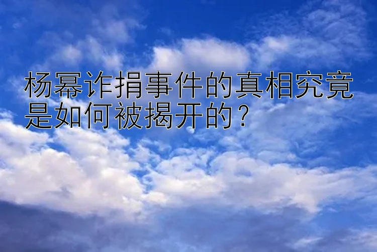 杨幂诈捐事件的真相究竟是如何被揭开的？